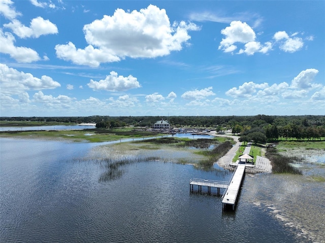 110 Edgewater Dr, Saint Cloud, FL 34769 - photo 44