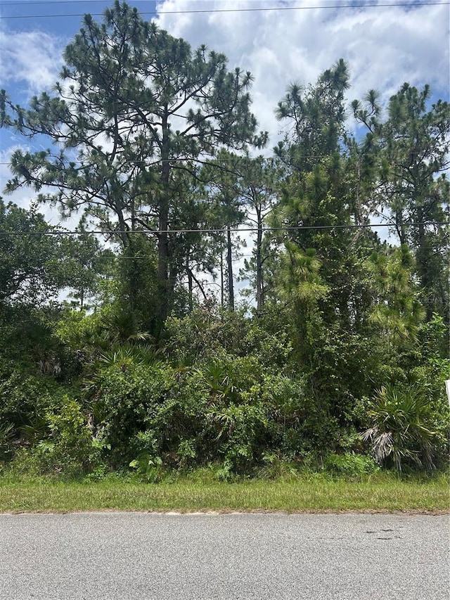 38 Moorgate St, Orlando, FL 32833 - photo 1