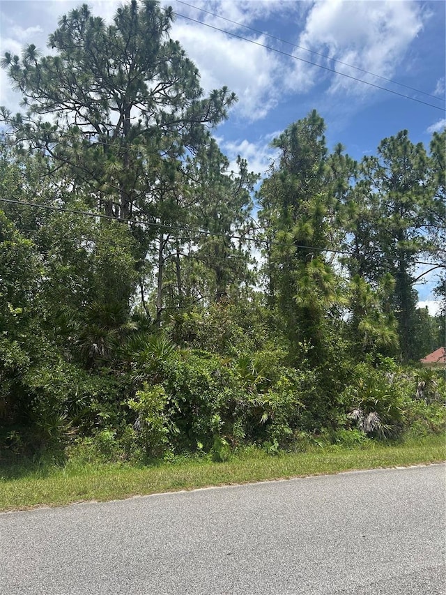 38 Moorgate St, Orlando, FL 32833 - photo 3