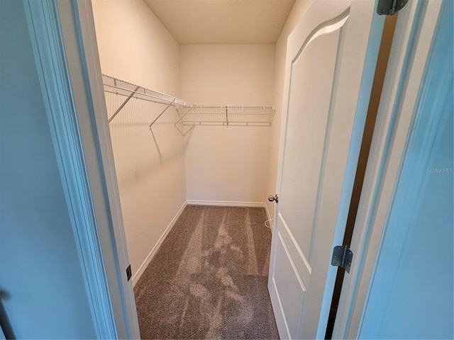 1370 Holodak Dr, Davenport, FL 33837 - walk in closet featuring carpet