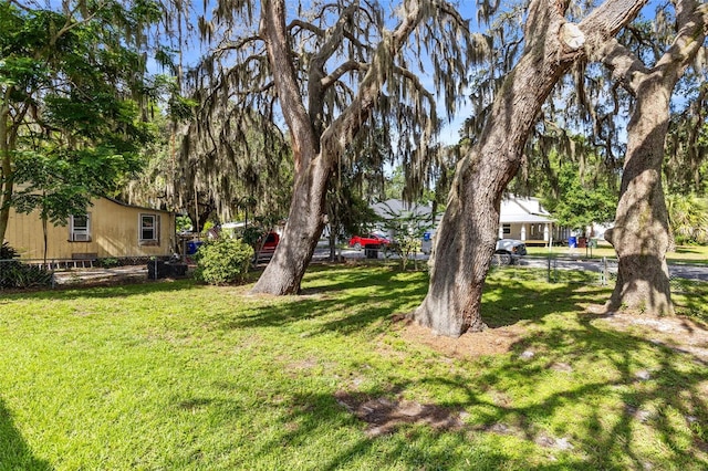1101 Oregon Ave, Saint Cloud, FL 34769 - view of grassy yard