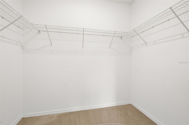 371 Pinecrest Loop, Davenport, FL 33837 - walk in closet with light carpet