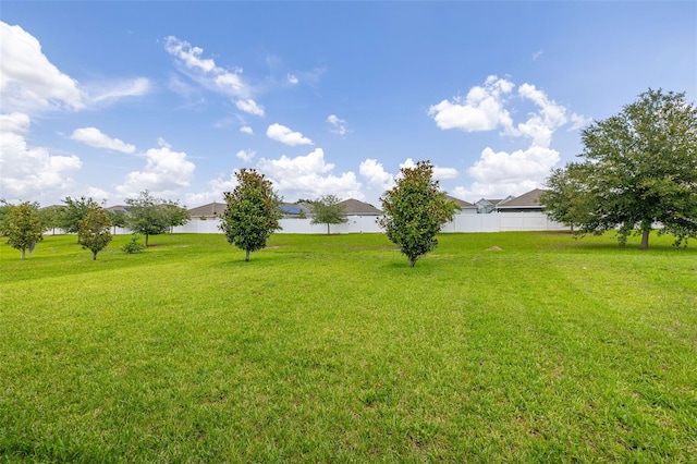371 Pinecrest Loop, Davenport, FL 33837 - view of yard