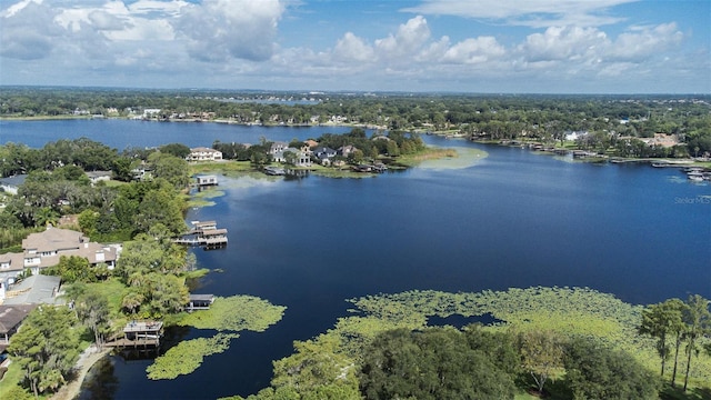 9905 Lanai View Ct, Windermere, FL 34786 - bird's eye view of a nearby body of water