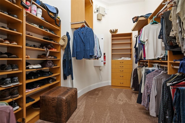 9905 Lanai View Ct, Windermere, FL 34786 - walk in closet featuring carpet flooring