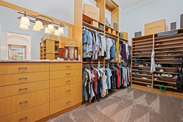 9905 Lanai View Ct, Windermere, FL 34786 - spacious closet featuring carpet flooring