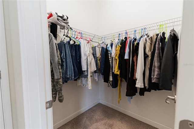 4928 Cortland Dr, Davenport, FL 33837 - walk in closet featuring carpet