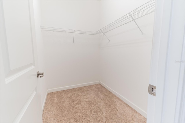 4928 Cortland Dr, Davenport, FL 33837 - spacious closet with light colored carpet
