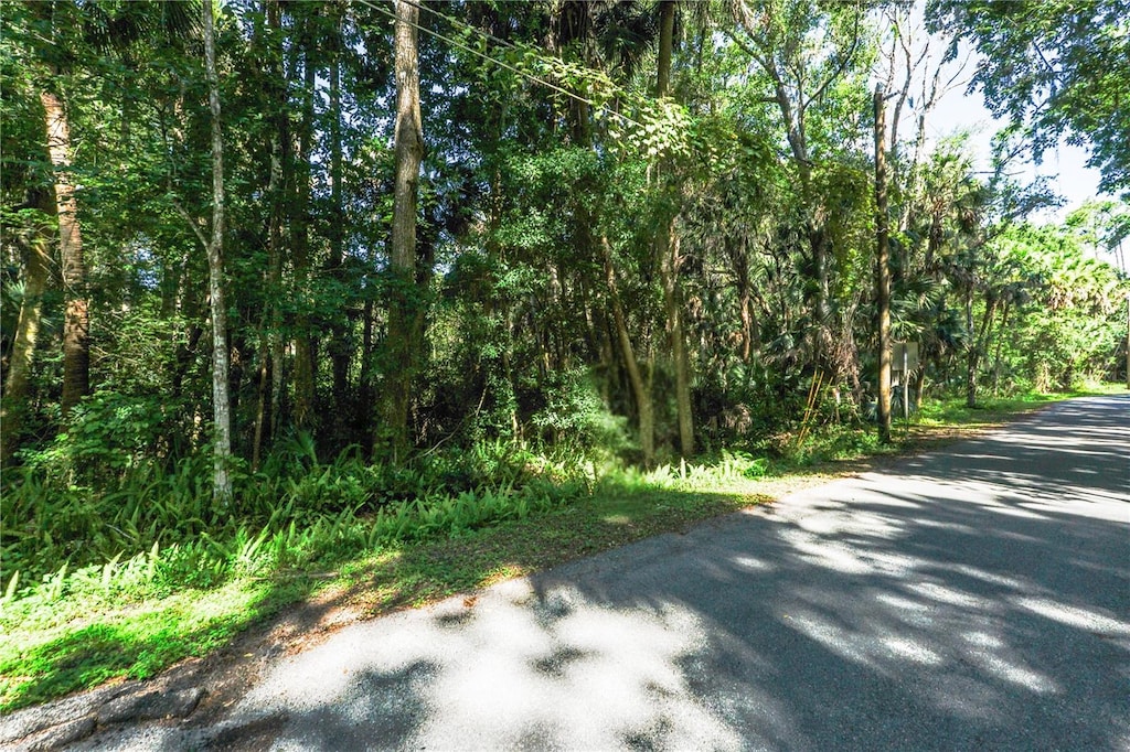 208 Sepp Rd, Debary, FL 32713 - photo 1