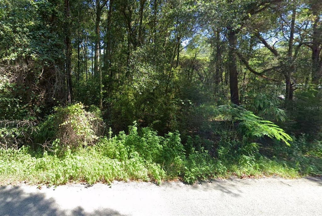 11575 NW 17th Pl, Ocala, FL 34482 - photo 1