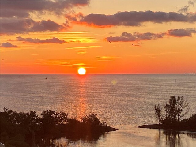 6009 Sea Ranch Dr Unit 203, Hudson, FL 34667 - photo 62