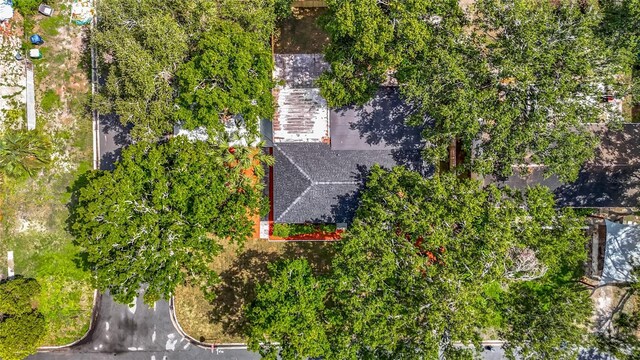 4202 W Bay Vista Ave, Tampa, FL 33611 - photo 64