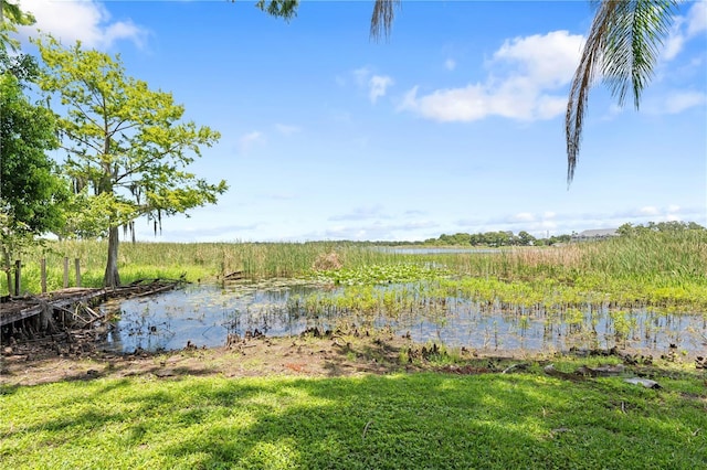 2571 Ames Haven Rd, Kissimmee, FL 34744 - photo 75