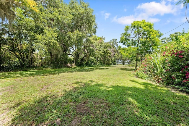 2571 Ames Haven Rd, Kissimmee, FL 34744 - photo 77