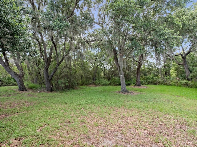 2810 Horton Rd, Kissimmee, FL 34744 - photo 31