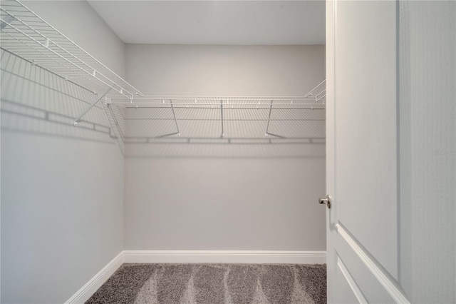 33 Peterlee Ct, Kissimmee, FL 34758 - walk in closet featuring carpet floors