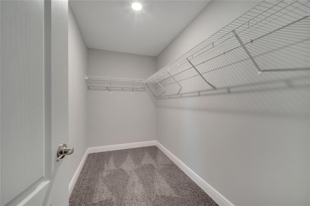 33 Peterlee Ct, Kissimmee, FL 34758 - walk in closet featuring carpet