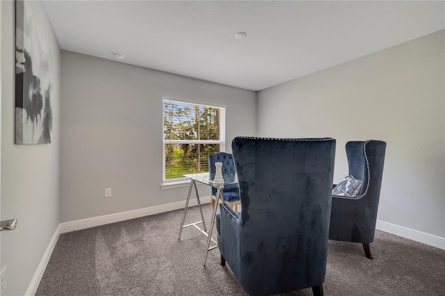 33 Peterlee Ct, Kissimmee, FL 34758 - living area with baseboards and carpet flooring
