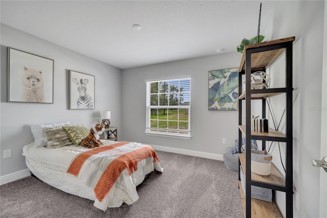 33 Peterlee Ct, Kissimmee, FL 34758 - carpeted bedroom with baseboards