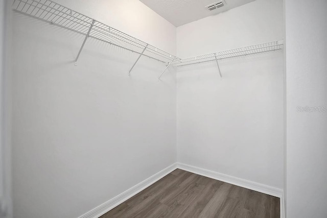 303 Anchovie Ct, Poinciana, FL 34759 - walk in closet with dark wood-style floors