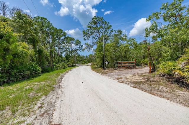 2576 R E Byrd Rd, Frostproof, FL 33843 - view of dirt / gravel road featuring a view of trees