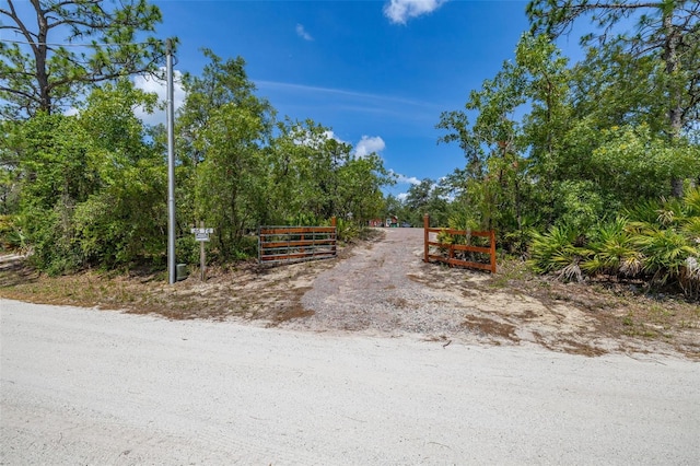 2576 R E Byrd Rd, Frostproof, FL 33843 - view of street with a gate and a gated entry