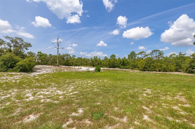 2576 R E Byrd Rd, Frostproof, FL 33843 - view of yard