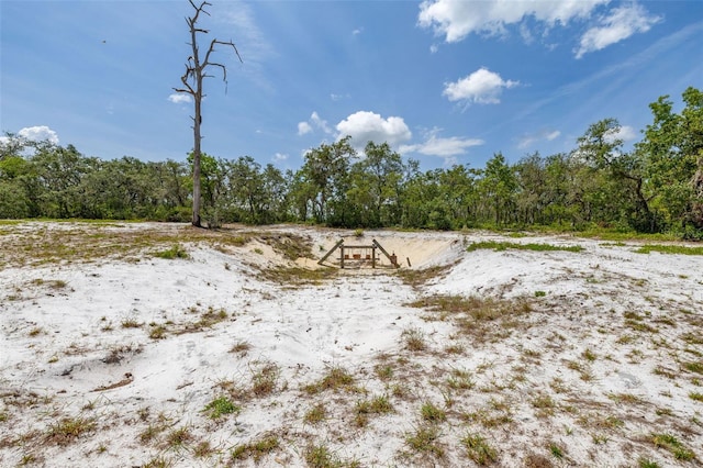 2576 R E Byrd Rd, Frostproof, FL 33843 - view of local wilderness