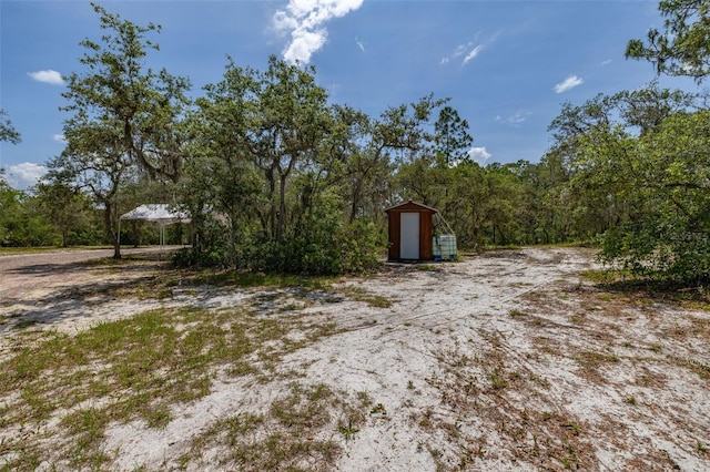 2576 R E Byrd Rd, Frostproof, FL 33843 - view of yard featuring a shed and a forest view