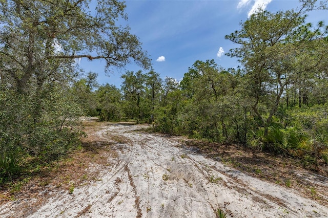 2576 R E Byrd Rd, Frostproof, FL 33843 - view of road with a view of trees