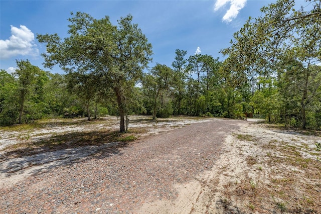 2576 R E Byrd Rd, Frostproof, FL 33843 - view of road featuring a forest view