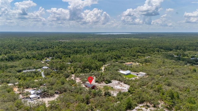 2576 R E Byrd Rd, Frostproof, FL 33843 - bird's eye view of a heavily wooded area