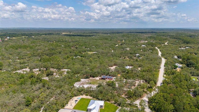 2576 R E Byrd Rd, Frostproof, FL 33843 - drone / aerial view of a forest