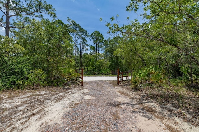 2576 R E Byrd Rd, Frostproof, FL 33843 - view of road with a view of trees