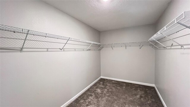 1343 Lassen St, Haines City, FL 33844 - photo 44