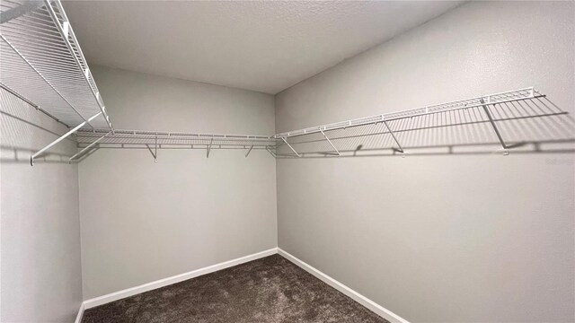 1343 Lassen St, Haines City, FL 33844 - photo 45