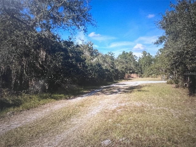 795 4th St E, Osteen, FL 32764 - photo 2