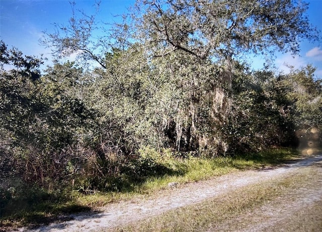 795 4th St E, Osteen, FL 32764 - photo 3