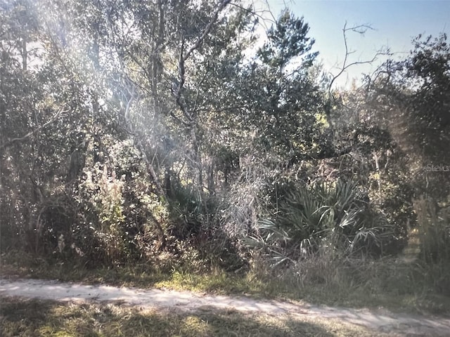 795 4th St E, Osteen, FL 32764 - photo 4