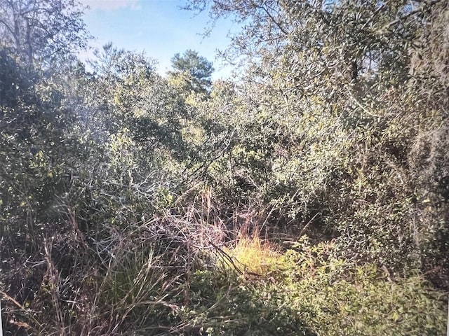 795 4th St E, Osteen, FL 32764 - photo 5