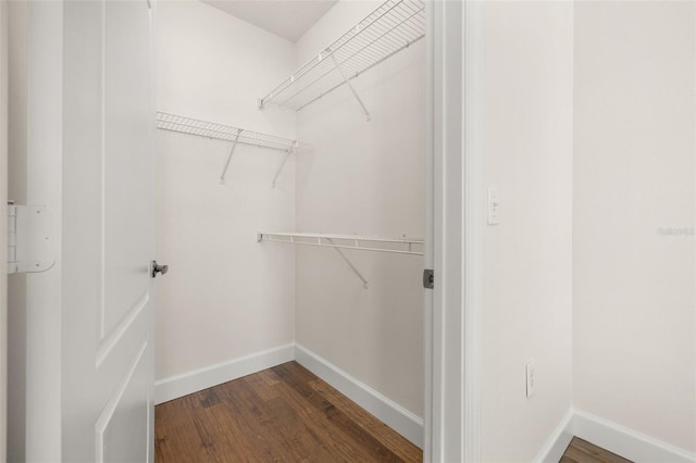 502 Mirasol Cir Unit 103, Kissimmee, FL 34747 - spacious closet featuring dark wood-style flooring