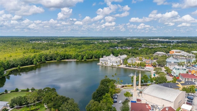 502 Mirasol Cir Unit 103, Kissimmee, FL 34747 - bird's eye view of a forest and a large body of water
