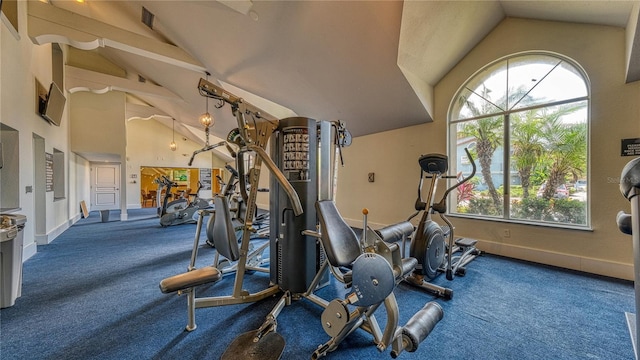 5112 Conroy Rd Unit 24, Orlando, FL 32811 - gym with plenty of natural light, carpet, and high vaulted ceiling
