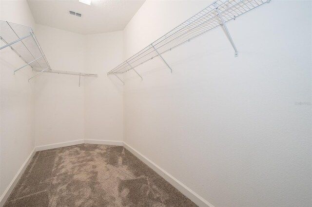 1173 Trappers Trail Loop, Champions Gate, FL 33896 - spacious closet with carpet flooring
