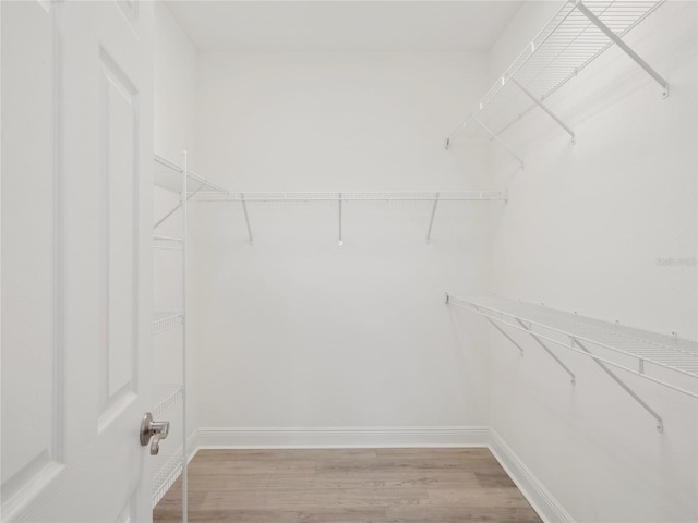 7266 Desert Mandarin St, Winter Garden, FL 34787 - photo 22