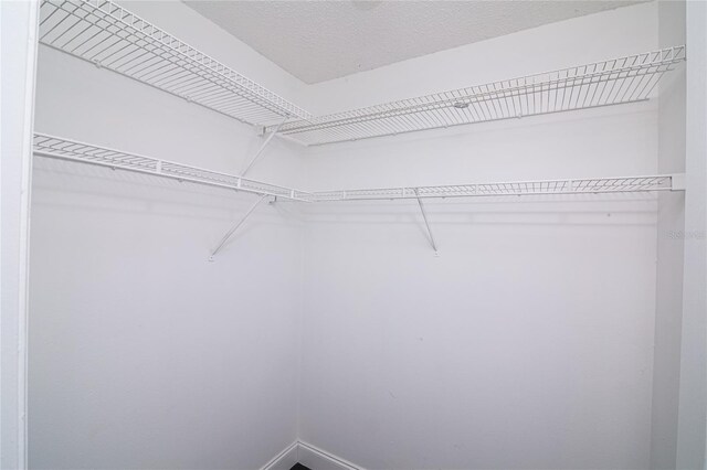 1101 Sandestin Way, Orlando, FL 32824 - view of walk in closet
