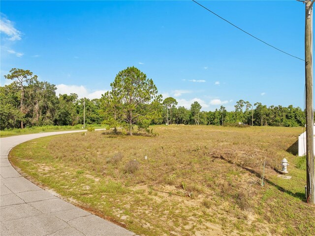 2436 Pecos Ln, Kissimmee, FL 34759 - photo 14