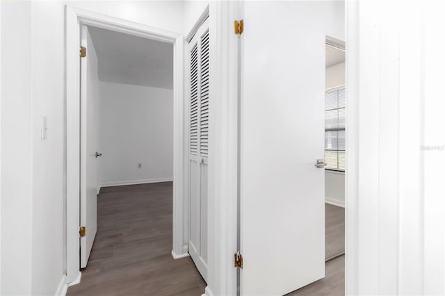 840 Center Ave Unit 80, Daytona Beach, FL 32117 - corridor with wood finished floors