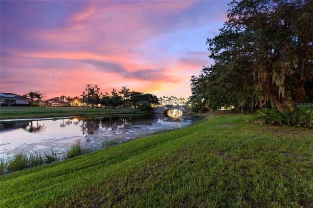 346 Treviso Dr, Kissimmee, FL 34759 - photo 63