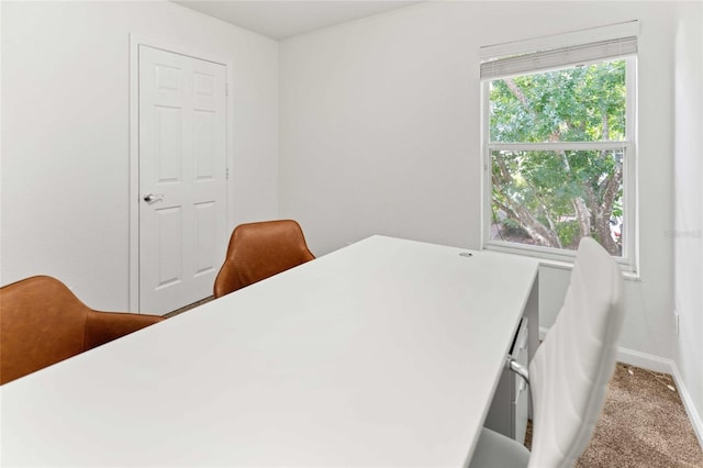 6803 Sperone St, Orlando, FL 32819 - photo 24